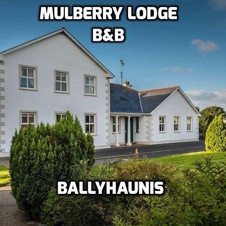 Mulberry Lodge Guest House Ballyhaunis Eksteriør bilde
